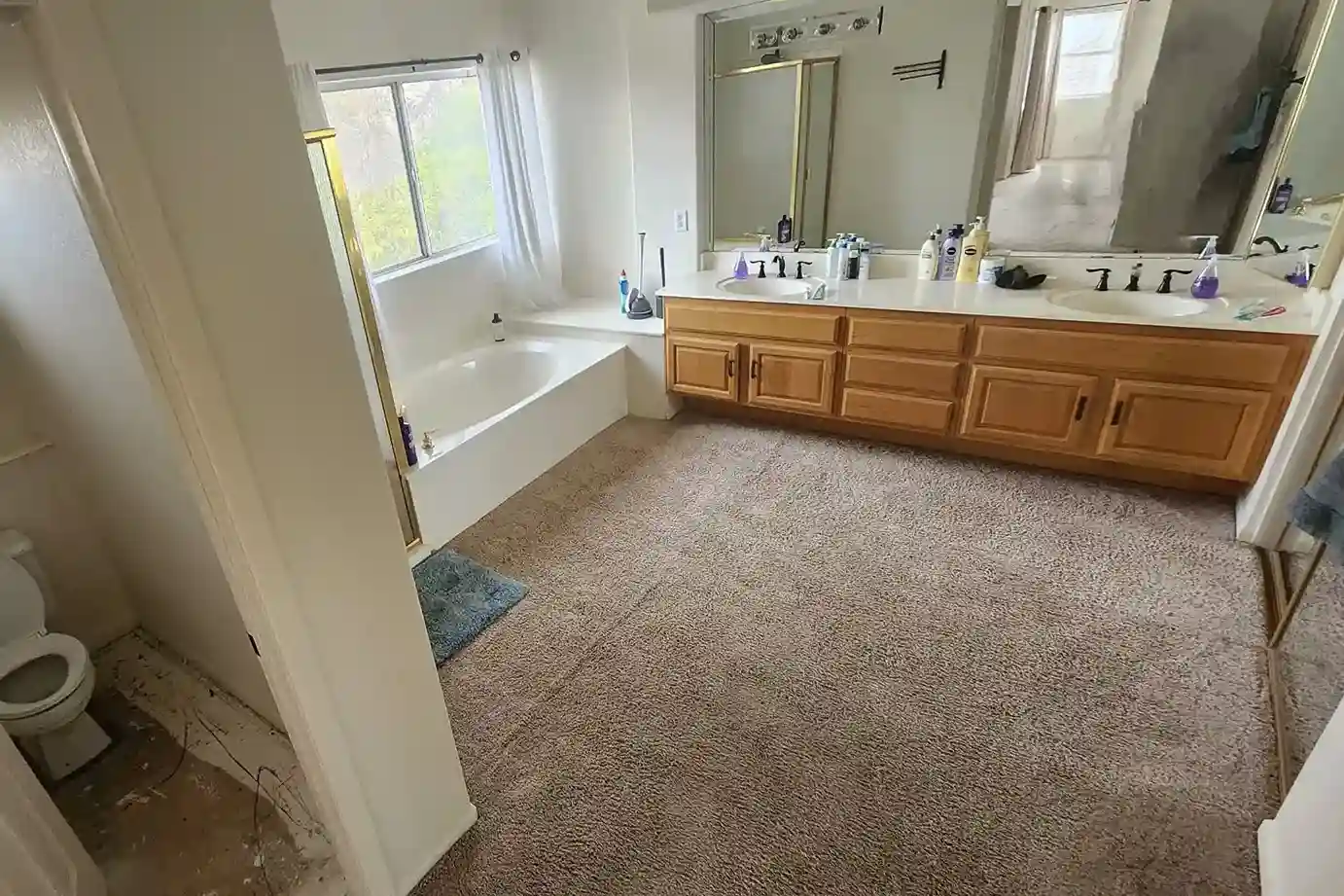 victoria bathroom remodel before photo 2